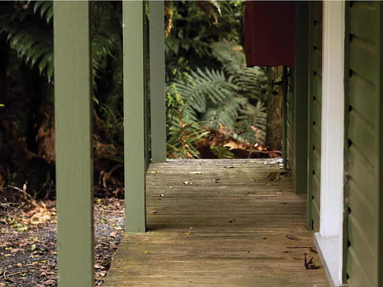 Outside of the Pirongia Forest Park Lodge Units