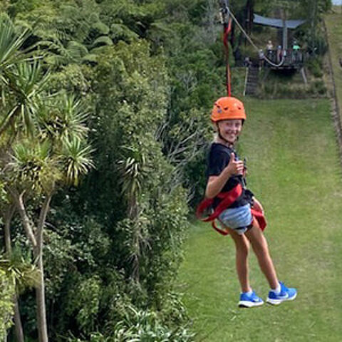 Flying Fox