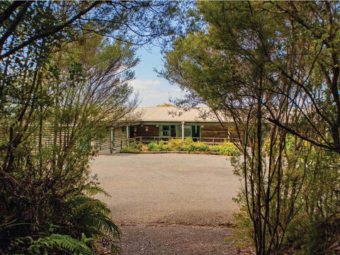Outside Pirongia Forest Park Lodge