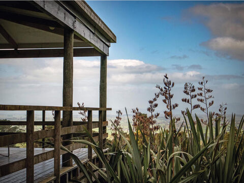 Outside Pirongia Forest Park Lodge
